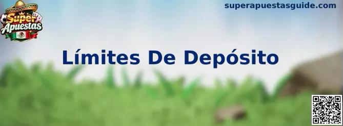Guía de Límites De Depósito para una gestión responsable del presupuesto de juego